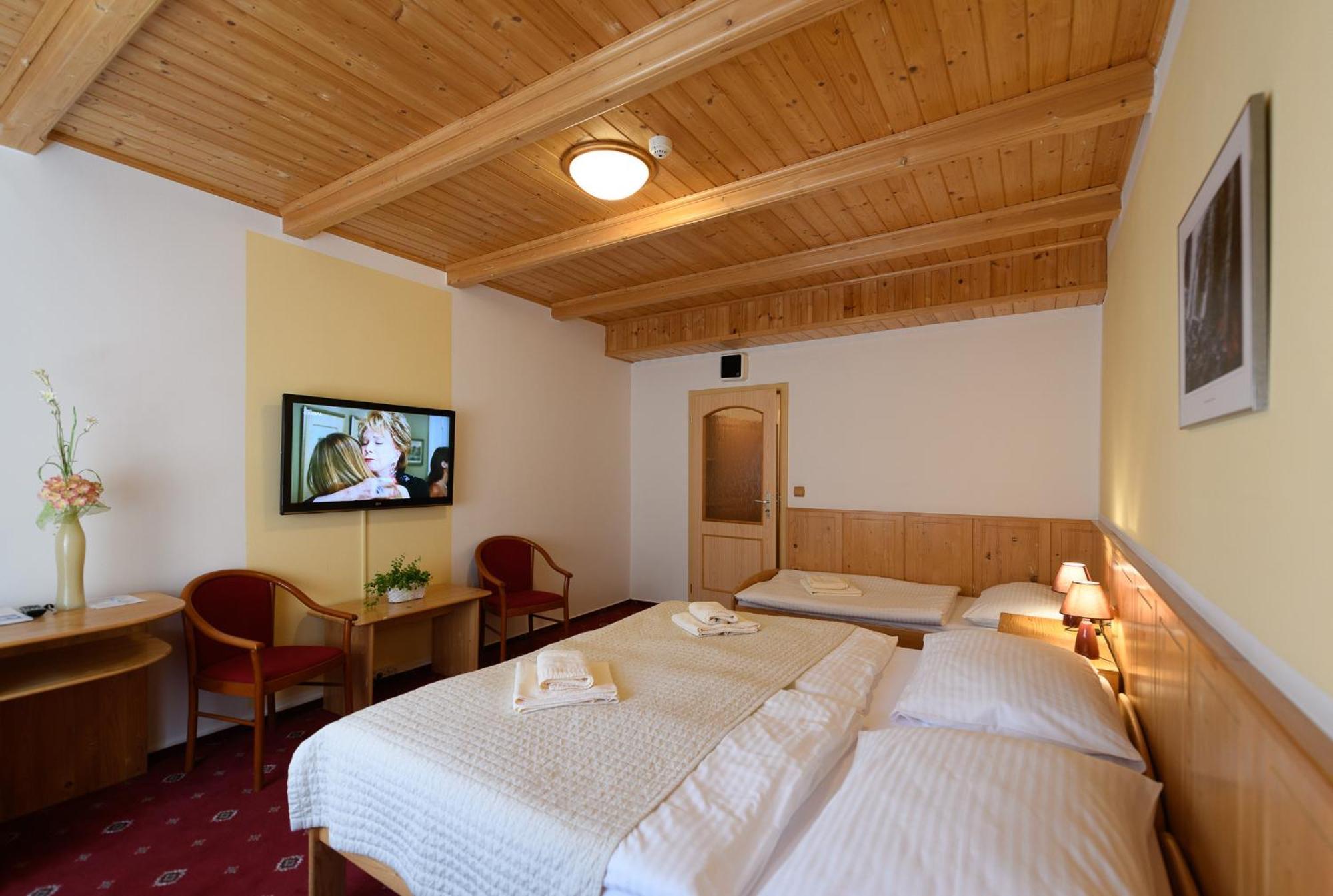 Sport-V-Hotel Hrotovice Екстериор снимка